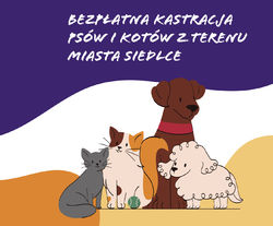 Bezpłatna kastracja  psów i kotów z terenu miasta Siedlce