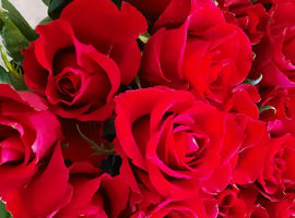 8 marca - Dzień Kobiet