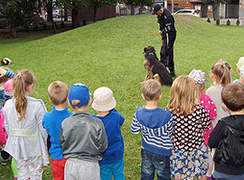 Czy psy muszą gryźć?