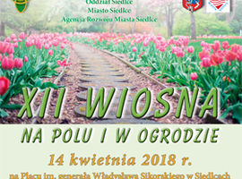 Kiermasz kwiatów na Placu Sikorskiego