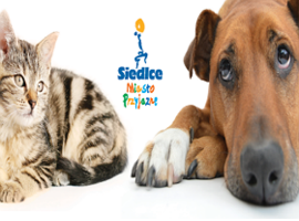 Zostań wolontariuszem!