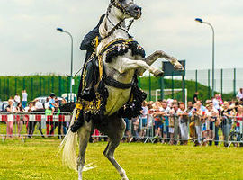 Festiwal "Z ułańską fantazją"