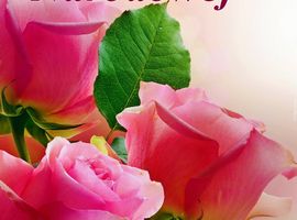 Życzenia z okazji Dnia Edukacji Narodowej