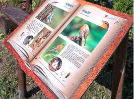 Jest ogród - jest radość