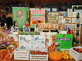 Tłumy młodych na targach