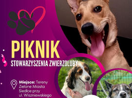 Piknik Charytatywny Zwierzolubów