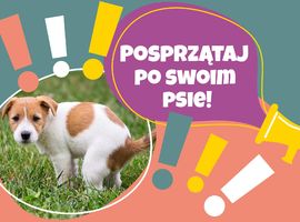 Posprzątaj po swoim psie!