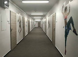 Metamorfoza roku 2018?