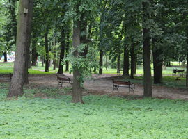 Park miejski „Aleksandria”