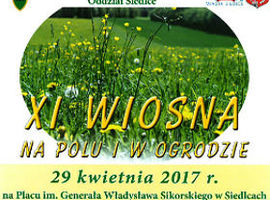 Targi w centrum Miasta