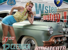 Zlot zabytkowych pojazdów