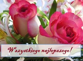 Życzenia z okazji Międzynarodowego Dnia Pielęgniarki i Położnej