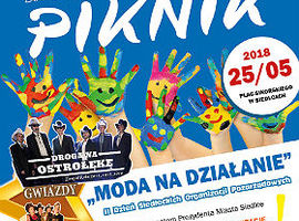 Piknik organizacji pozarządowych