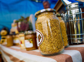 Święto miodu w Siedlcach