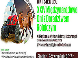 Dni z Doradztwem: program, dojazd i parkingi