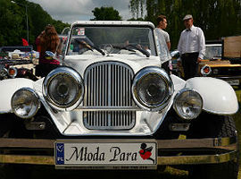 Mrowie aut na "Mrowisku"