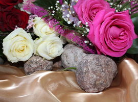 Kwiaty i kamienie. 70 lat Centrum Kształcenia Ustawicznego