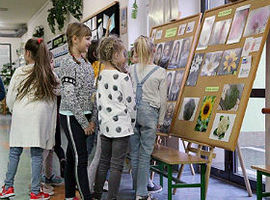 Matematyka na fotografii