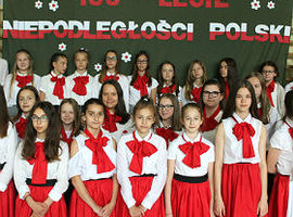 Kampania polskości Wojewody