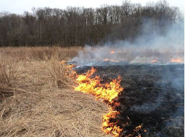 "Nie" dla wypalania traw