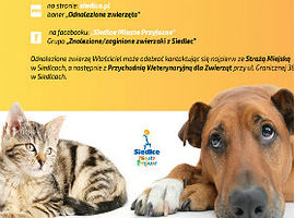 Znalazłeś bezdomne, ranne zwierzę?